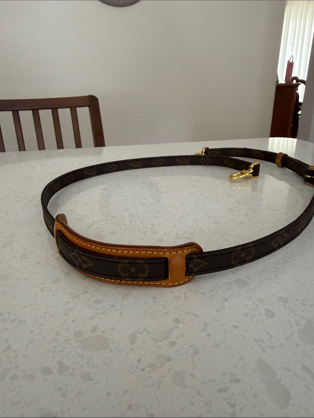 Louis Vuitton Monogram Shoulder Strap
